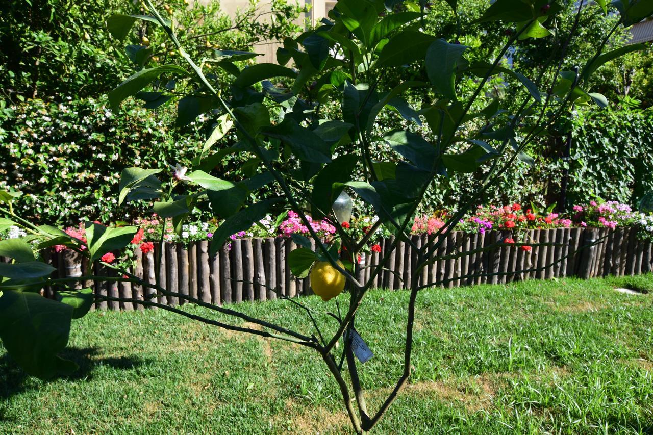 Giardino Sorrentino Sorrento Exterior foto